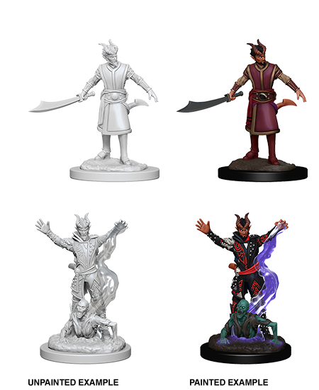 Dungeons & Dragons - Nolzur's Marvelous Miniatures: Male Tiefling Warlock