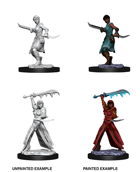 Dungeons & Dragons - Nolzur's Marvelous Miniatures: Female Human Rogue