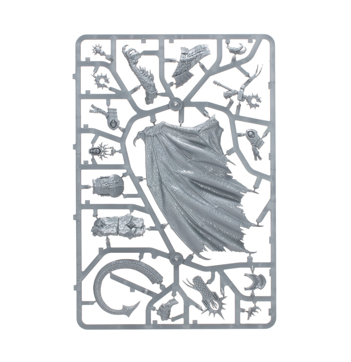 Warhammer Age of Sigmar: Stormcast Eternals - Ionus Cryptborn, Warden of Lost Souls