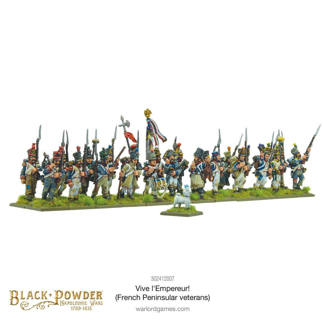 Black Powder: Napoleonic Wars - Vive l'Empereur! (French Peninsular veterans)