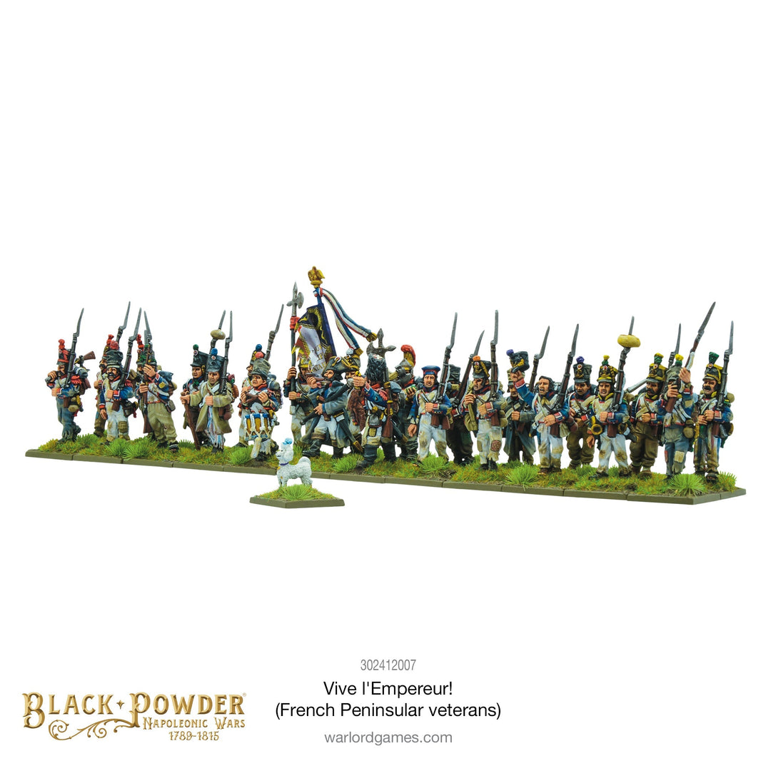 Black Powder: Napoleonic Wars - Vive l'Empereur! (French Peninsular veterans)
