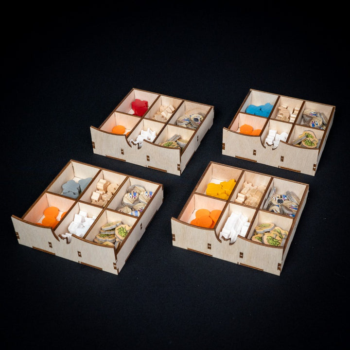Atiwa Organizer (LaserOx) (LATA)