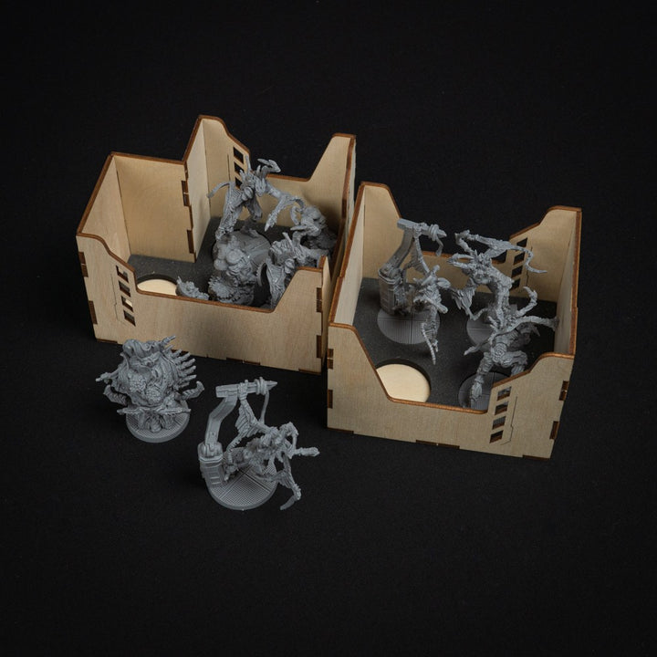 Lockdown Organizer (LaserOx) (LNEML)