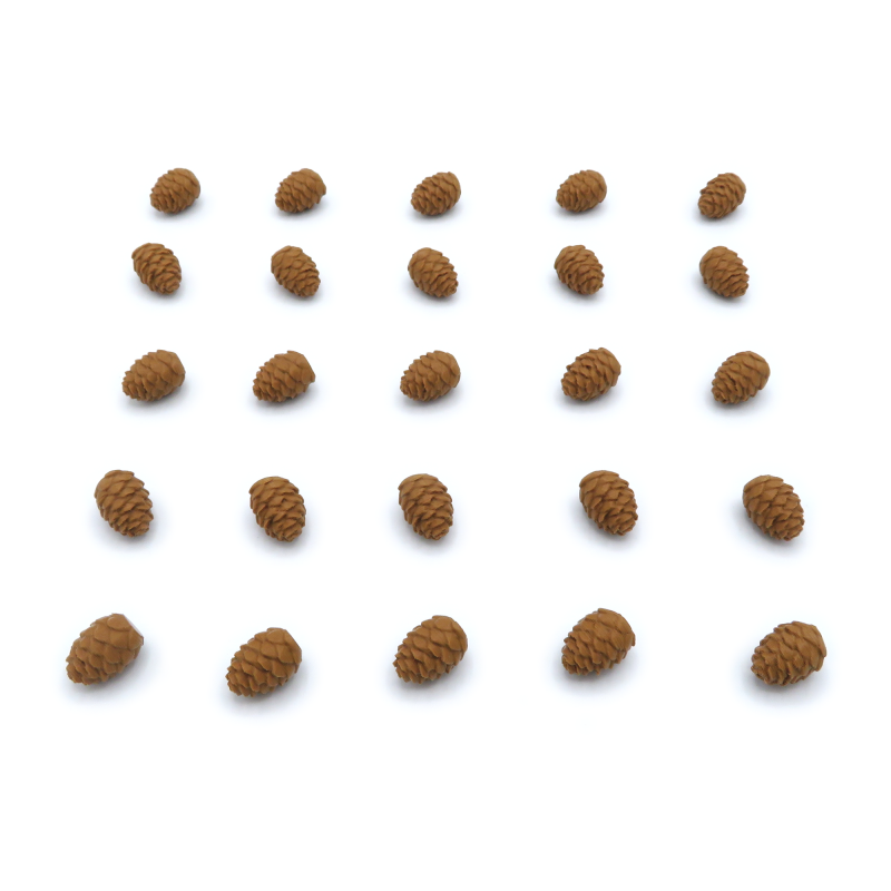 Nature Tokens for Cascadia - 25 Pieces (CDIA001) (BGExpansions)