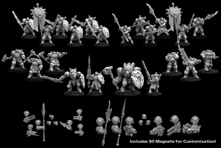 Warmachine MKIV: Cygnar Storm Legion Core Army Starter