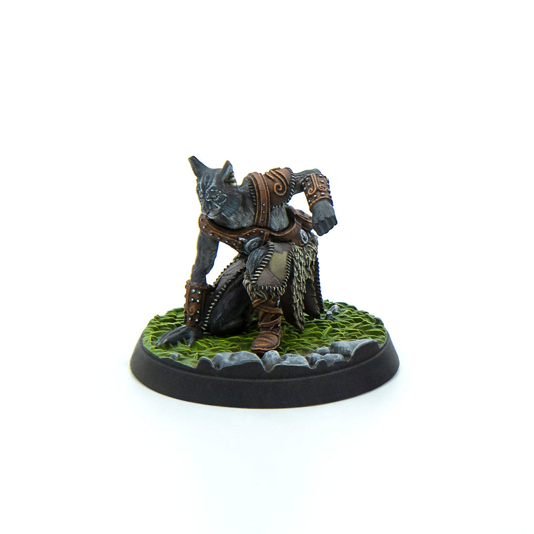 The Elder Scrolls: Call to Arms - Bandit Core Set
