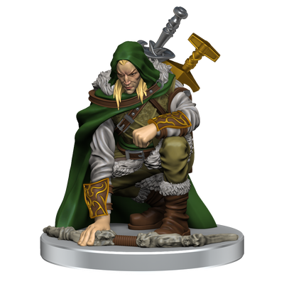 Magic: The Gathering Miniatures: Adventures in the Forgotten Realms - Adventuring Party Starter